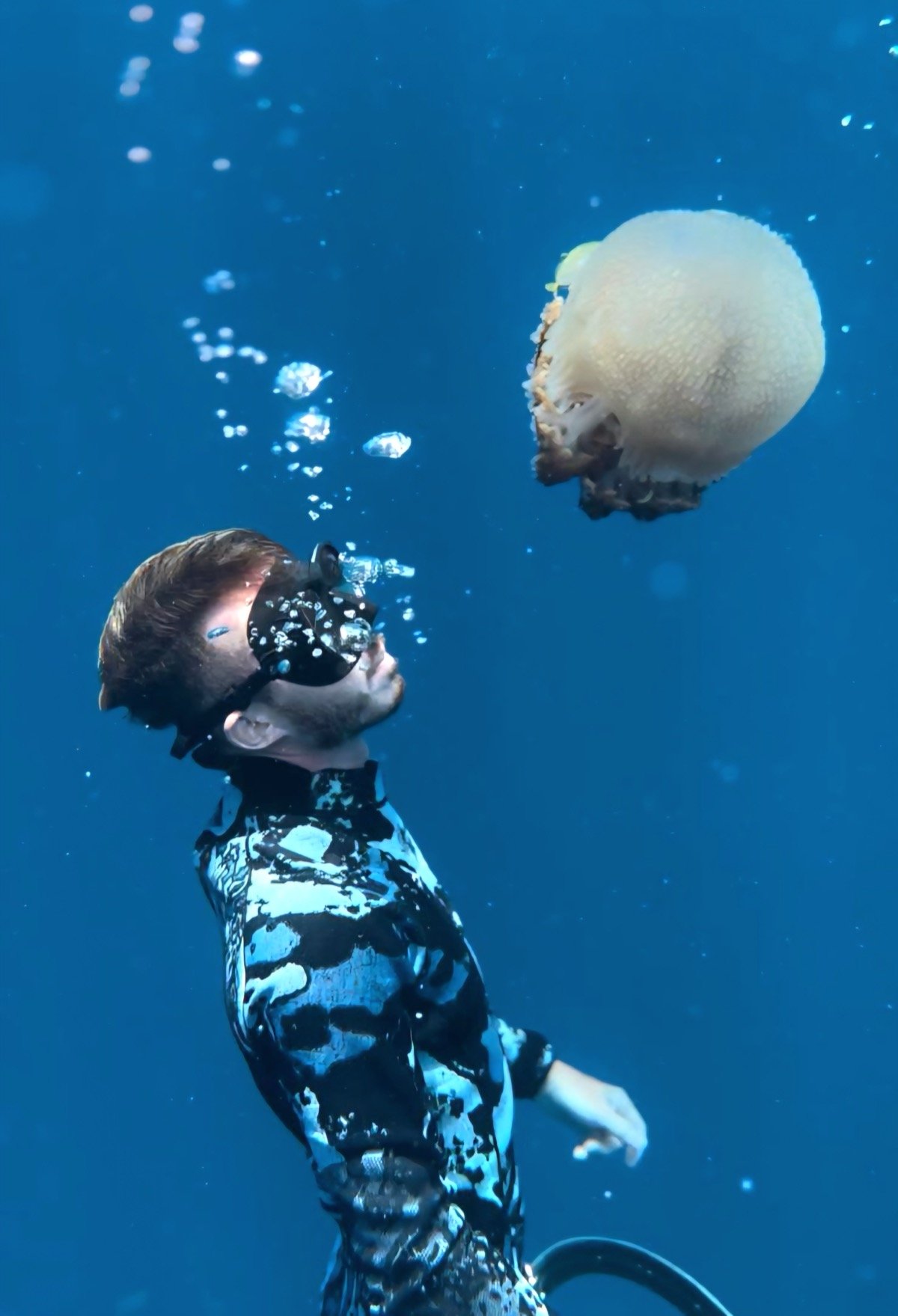 Marine Life You Will See Freediving in the Gulf of Thailand